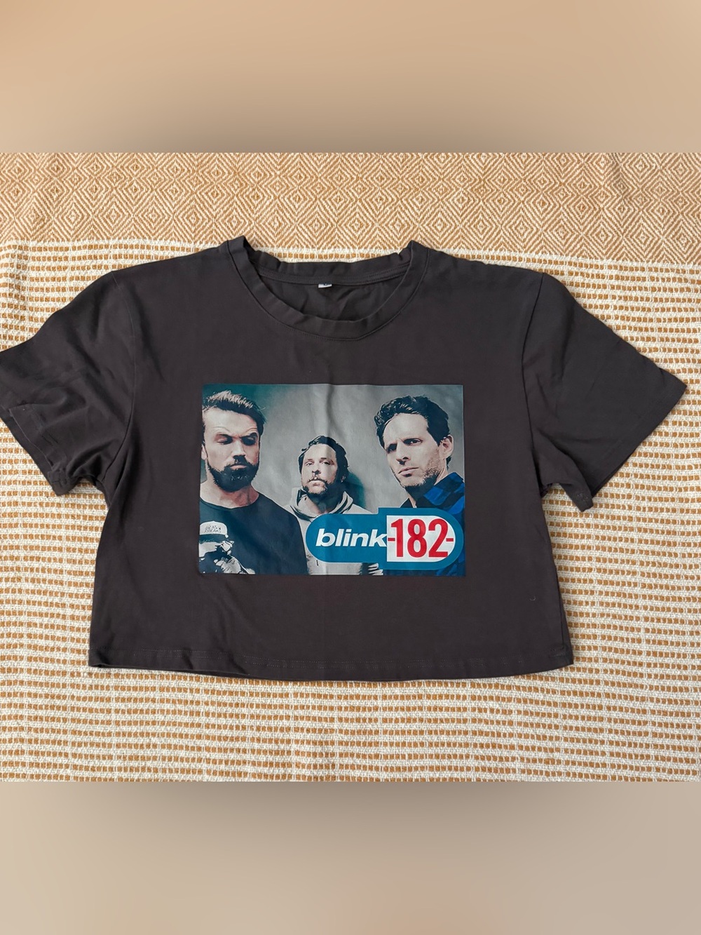 Graphic Cropped Pop Culture Tee Blink-182 Mashup Parody Size M
